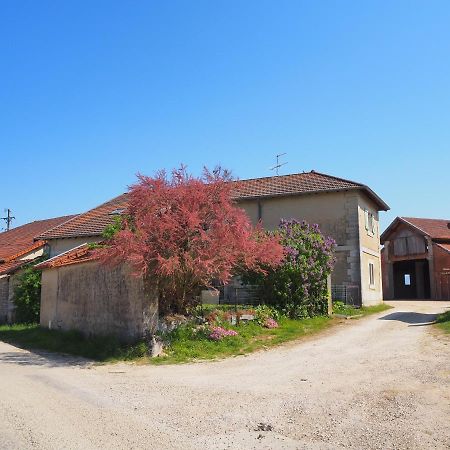 Le Gite Du Haut Châtillon-la-Palud Exteriér fotografie