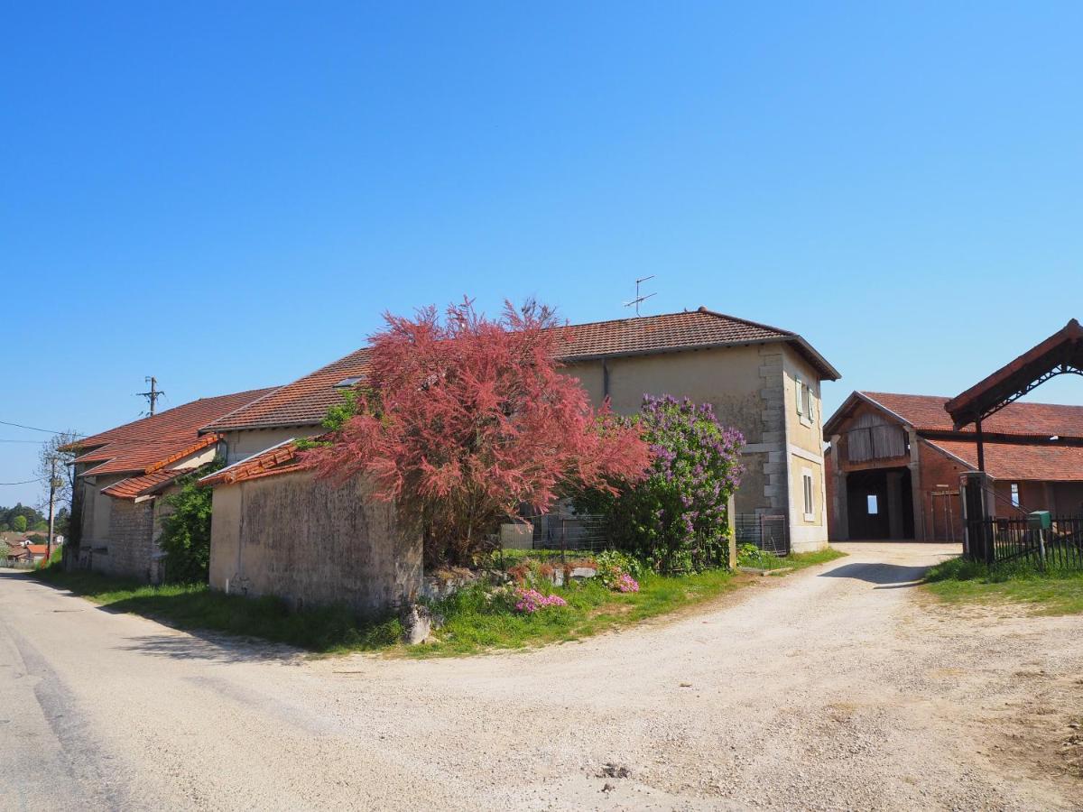 Le Gite Du Haut Châtillon-la-Palud Exteriér fotografie